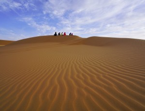 撒哈拉沙漠- (30)