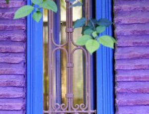 _DSC8047_1-01