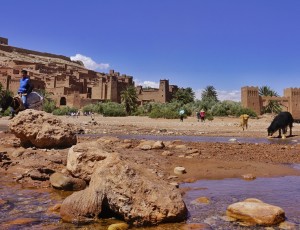 _DSC8366-01