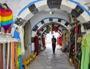 _DSC0309-01