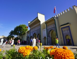 _DSC8862-01