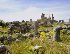 _DSC9217-01