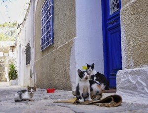 _DSC0312-01