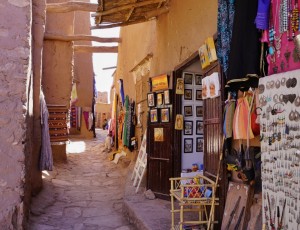 _DSC8491-01