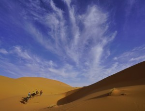 撒哈拉沙漠- (27)