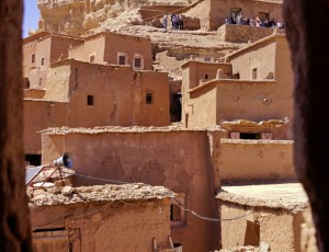 _DSC8398-01