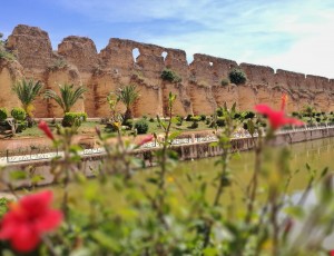 IMG_20170502_161651-01